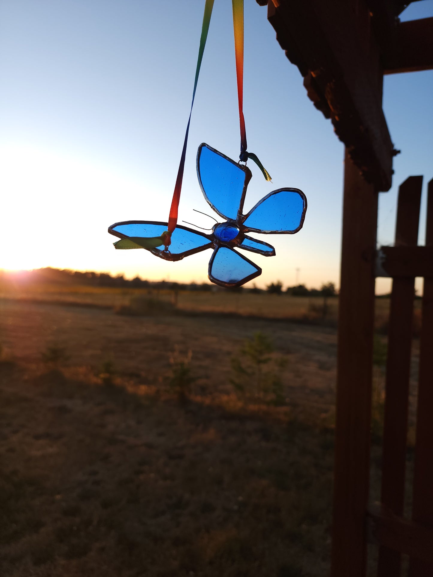 Blue Butterfly